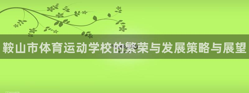 J9官方集团官网:鞍山市体育运动学校的繁荣与发展策略与展望