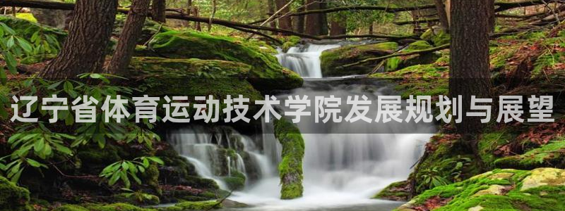 J9官网下载平台是正规平台吗安全吗:辽宁省体育运动技术学院发